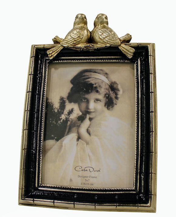 Biev Kuşku Gümüş Siyah Çerçeve 13x18