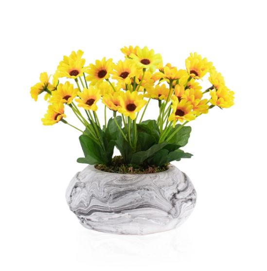 Biev Dünya Desenli Saksıda Papatya/Flw026