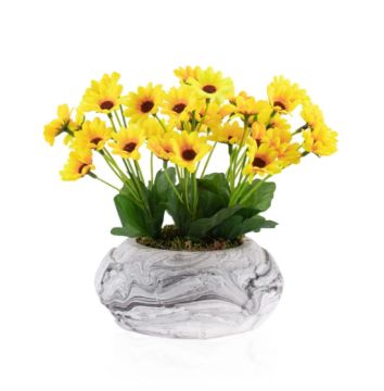 Biev Dünya Desenli Saksıda Papatya/Flw026