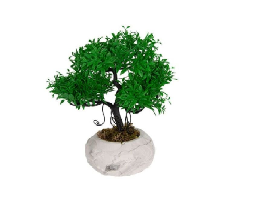 Biev Dünya Saksıda Minyatür Ağaç/Flw027