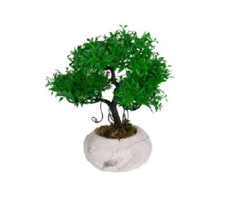 Biev Dünya Saksıda Minyatür Ağaç/Flw027