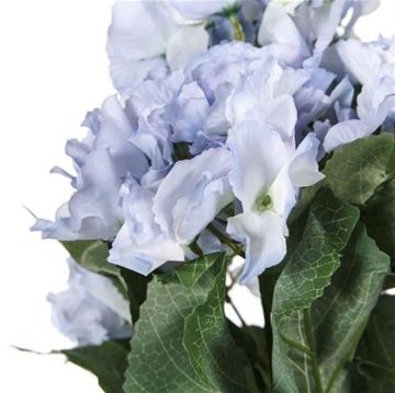 Biev Ortanca Buketi Mavi