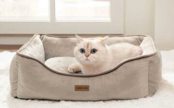 Yataş Bedding Miu Kedi&Köpek Yatağı (76x61x24 cm)