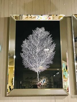 Biev Aynalı Tablo 60x90cm