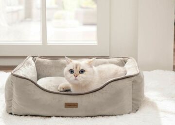 Yataş Bedding Miu Kedi&Köpek Yatağı (95x68x26 cm)