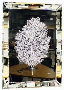 Biev 50X70cm Aynalı Tablo