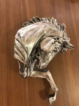 Biev Bst-Pol283 B.Duvar At