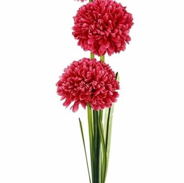 Biev Kır Çiçekli Begonya Demeti Pembe