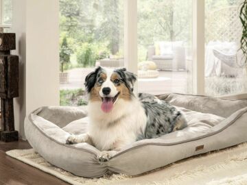 Yataş Bedding Miu Kedi&Köpek Yatağı (51x37x21 cm)