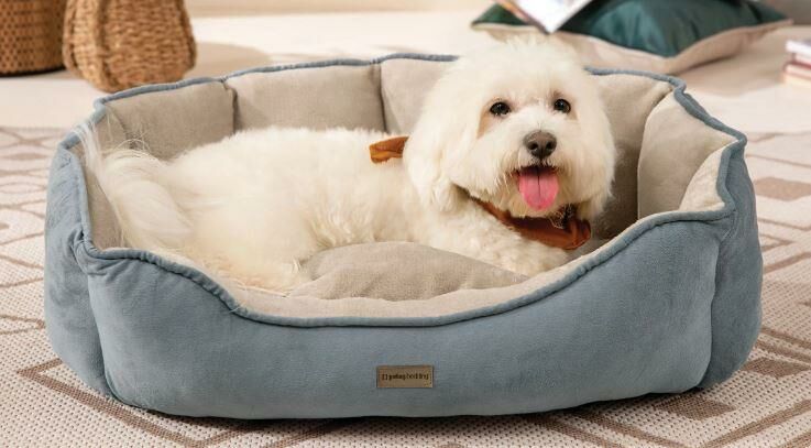 Yataş Bedding Oscar Kedi&Köpek Yatağı (65x45x21 cm)