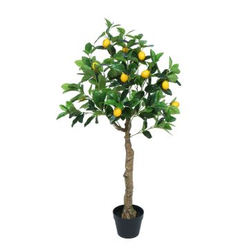 Biev Vitale Yapay Limon Ağacı