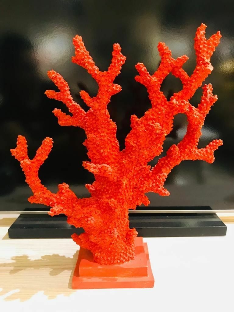 Biev Dallı Mercan/Ak.Tt0060