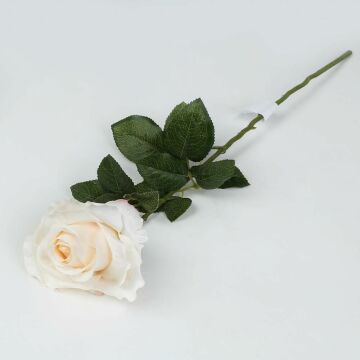 Biev Tek Dal Gül Cream