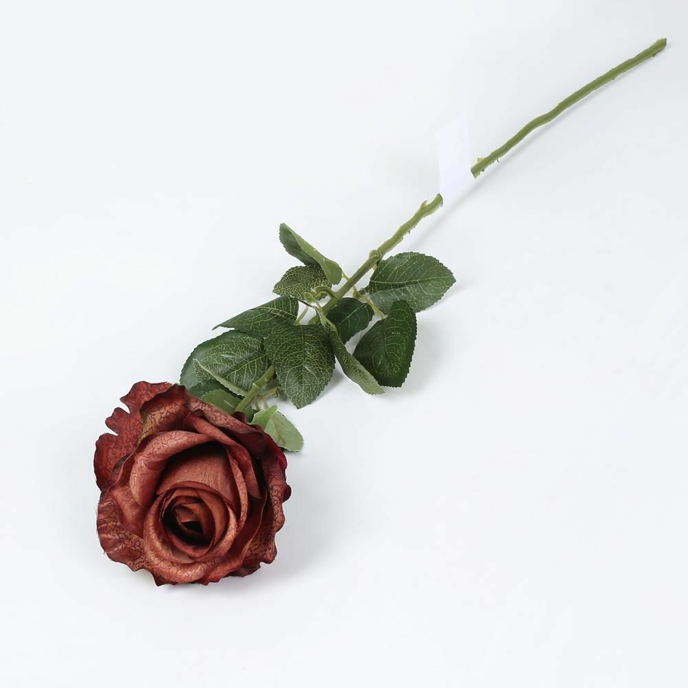 Biev Tek Dal Gül Chocolate/Ak.Znd060